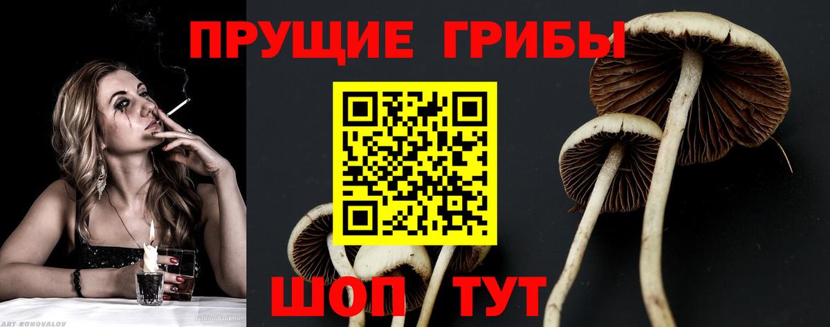 Югорск  Псилоцибиновые грибы Psilocybine cubensis  Вход с VPN  Галлюциногенные грибы Cubensis 